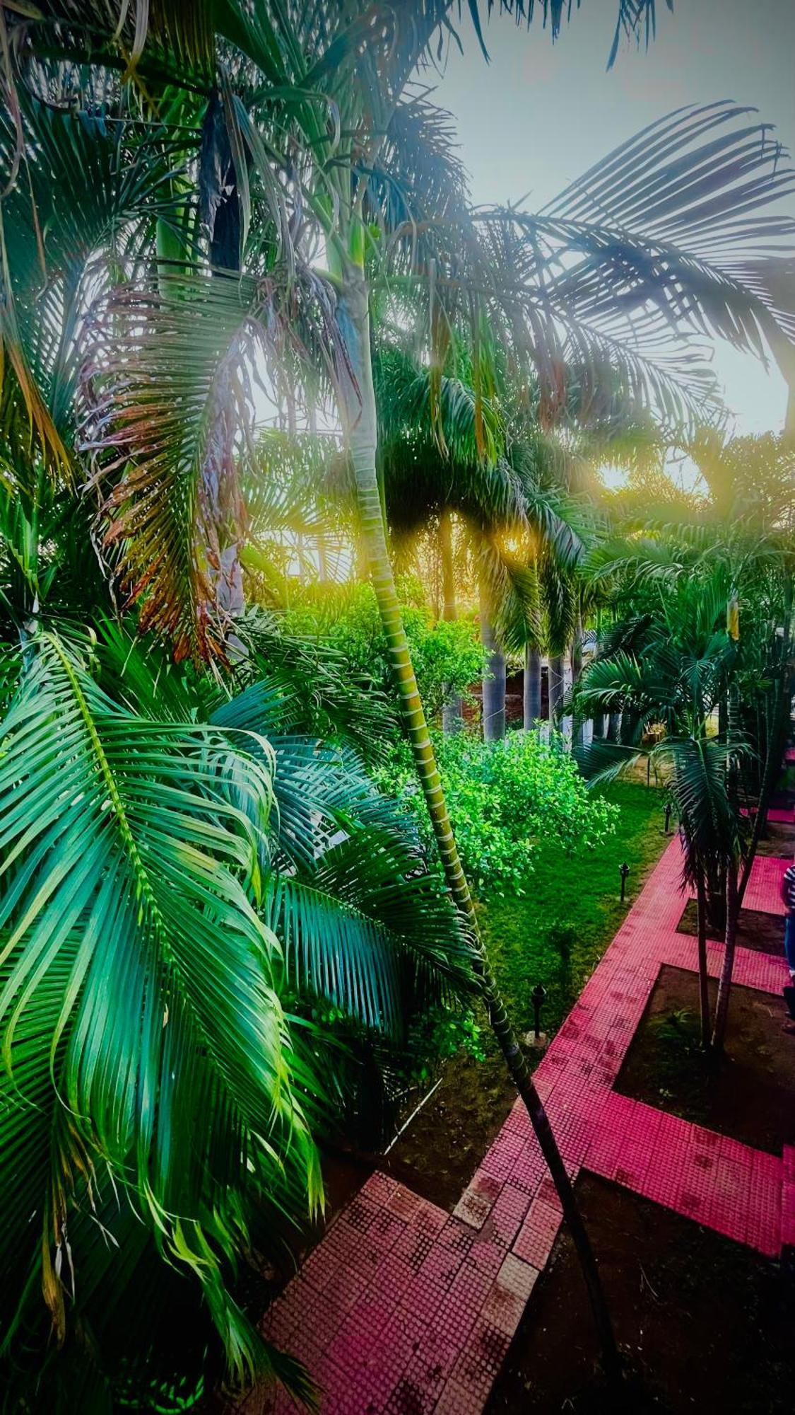Hotel Jungle Palace Resort Umariā Exterior photo